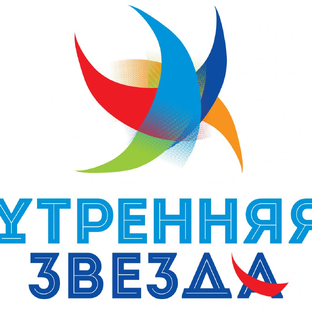 Статистика Дзен Международный многожанровый конкурс-фестиваль "Утренняя Звезда"