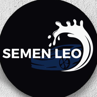 Статистика Дзен SEMEN LEO 