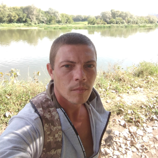 Статистика Дзен Александр