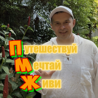 Статистика Дзен Путешествуй Мечтай Живи!