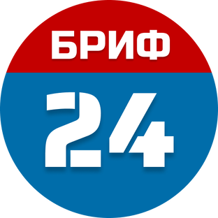 Статистика Дзен Бриф24