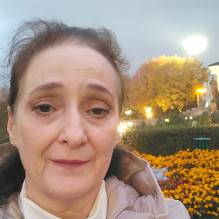 Статистика Дзен СВОЙ ПУТЬ