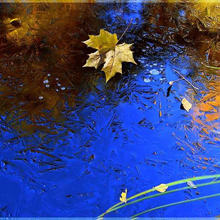 Дзен Терапия восприятия статистика