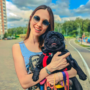 Статистика Дзен неИдеальная собака