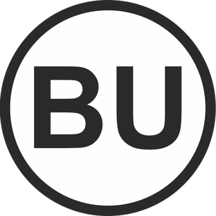 Дзен BU·STORE статистика