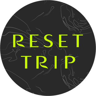 Статистика Дзен RESET TRIP
