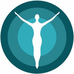 Статистика Дзен Кинезиоцентр