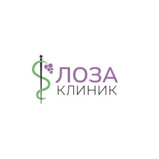 Статистика Дзен ЛОЗА клиник