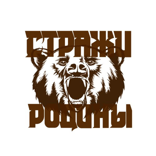 Статистика Дзен Стражи Родины