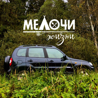 Статистика Дзен МЕЛОЧИ ЖИЗНИ 