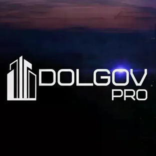 Статистика Дзен Dolgov PRO | Недвижимость Москва