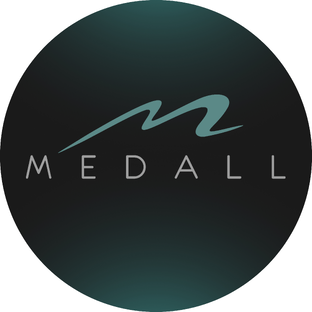 Статистика Дзен Цифровая стоматология MEDALL| СПб