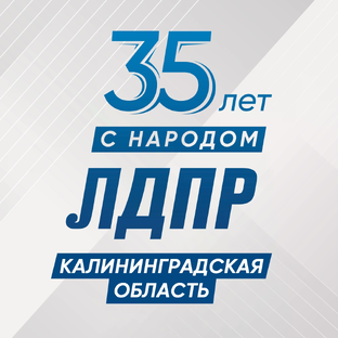 Статистика Дзен ЛДПР в Калининграде