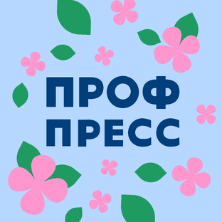 Статистика Дзен Издательский дом «Проф-Пресс» 