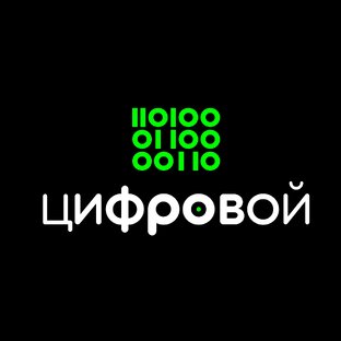 Статистика Дзен Магазин Цифровой г. Кострома