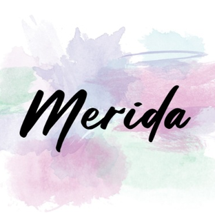 Статистика Дзен Merida | Все обо всем