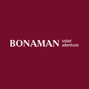 Статистика Дзен BONAMAN