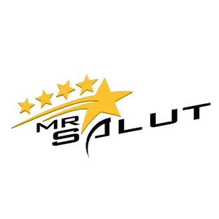 Статистика Дзен MR Salut