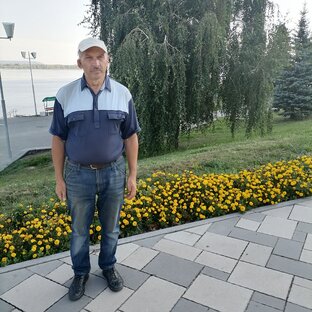 Статистика Дзен Остров одного поэта. 