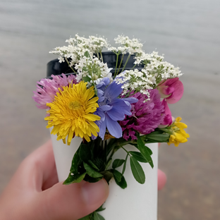 Статистика Дзен Быть красивой, жить красиво