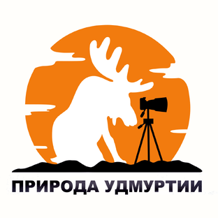 Статистика Дзен Природа Удмуртии
