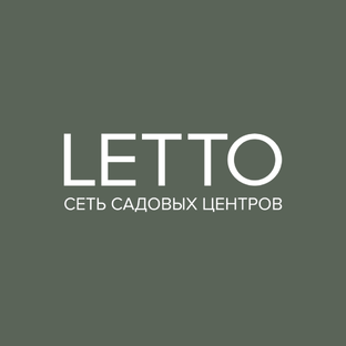 Статистика Дзен LETTO Russia