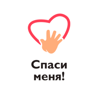 Статистика Дзен Благотворительный фонд "Спаси меня"