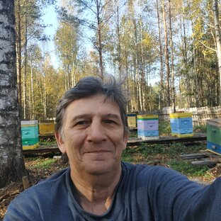 Статистика Дзен Медовая дача
