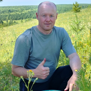 Статистика Дзен Мастерская Ивана Петрова