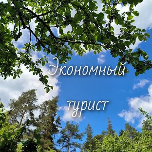 Статистика Дзен Экономный турист