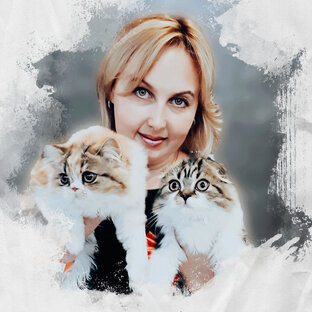 Статистика Дзен Kristal Rose*RU