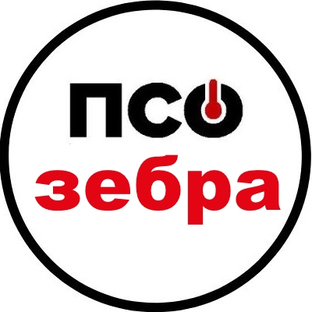 Статистика Дзен ЗЕБРА ЭВО-300 от ПСО ГК