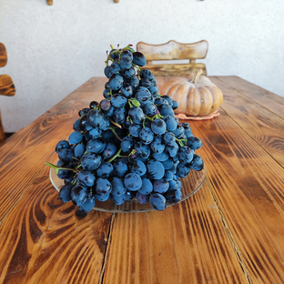 Статистика Дзен Переезд на юг 🌞 Ольга и Роман🍇