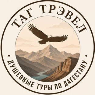 Статистика Дзен Турагентство ТАГ ТРЭВЕЛ | Душевные туры по Дагестану 