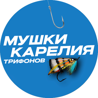 Статистика Дзен Мушки Карелия Трифонов 