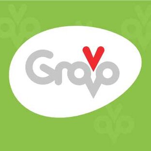 Статистика Дзен Grovo. Удобное яйцо.