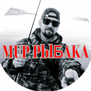 Статистика Дзен Мир Рыбака