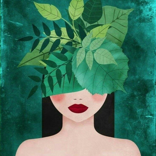 Статистика Дзен #ФИТОфилософ🌿