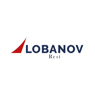 Статистика Дзен LOBANOV REST