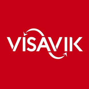 Статистика Дзен Visavik - Визы | ВНЖ | Гражданство 
