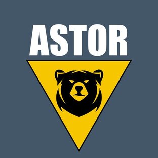 Статистика Дзен Премиальная уборочная техника для клининга ASTOR 