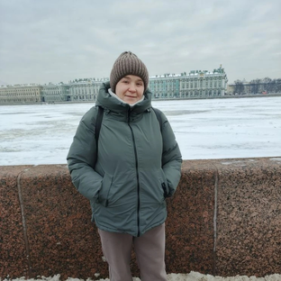 Статистика Дзен Yulia Liseenok