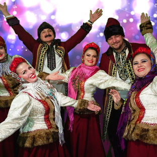 Статистика Дзен Жар-птица Арина С.