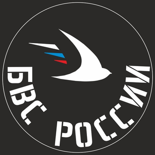 Статистика Дзен БВС РОССИИ