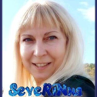Статистика Дзен SeveRINna