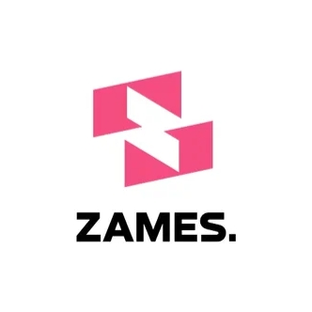 Статистика Дзен Строительная компания ZAMES.