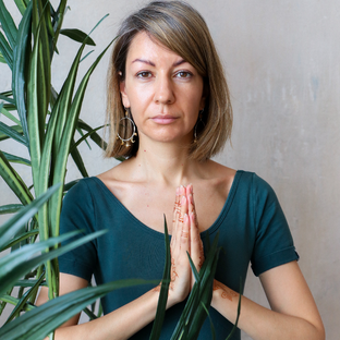 Статистика Дзен Mindfulness медитация и йога-нидра