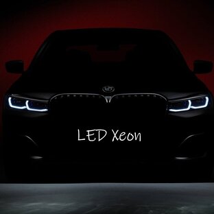 Статистика Дзен Led Xeon Technology