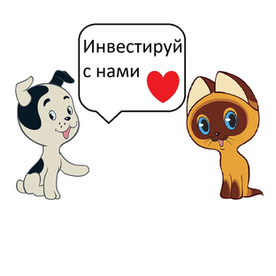 Статистика Дзен Дворовые инвесторы