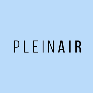 Статистика Дзен PLEINAIR 